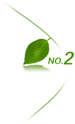 No.2