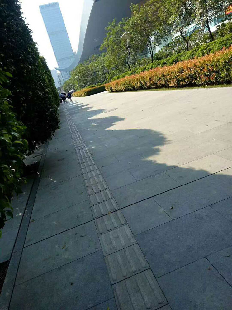 876680981440000031.jpg