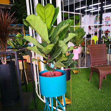 綠植租擺