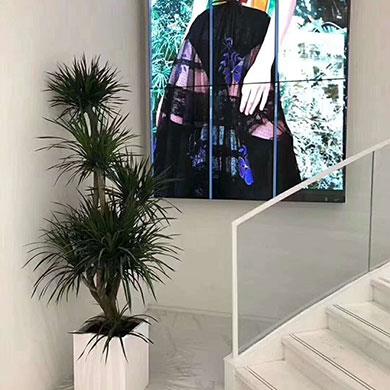 綠植租擺