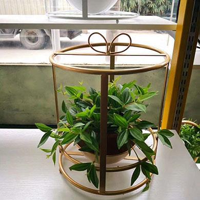 綠植租擺