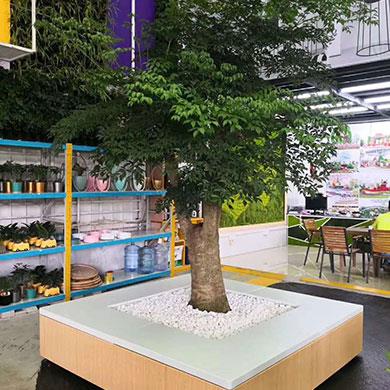 綠植租擺