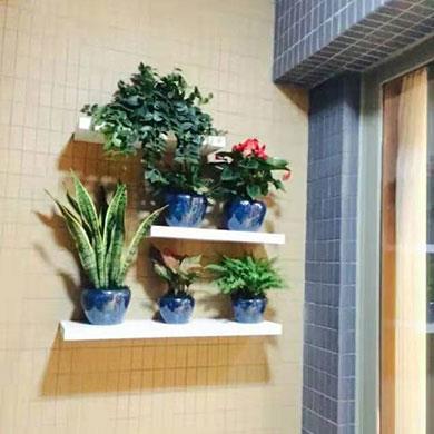 綠植租擺