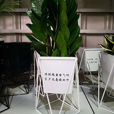 綠植租擺