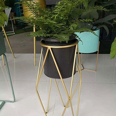 綠植租擺