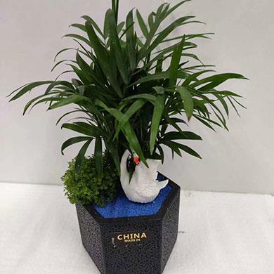 綠植租擺