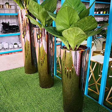 綠植租擺