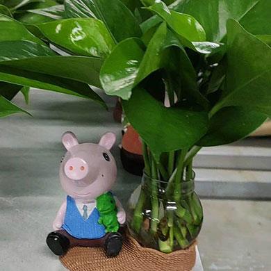綠植租擺