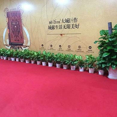 宏發(fā)綠化城效果圖
