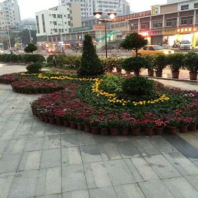 宏發(fā)綠化城效果圖