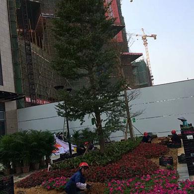 宏發(fā)綠化效果圖