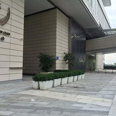 深圳灣1號綠化效果