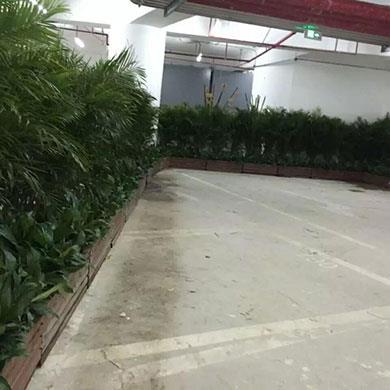 深圳灣1號綠化效果