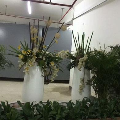 深圳灣1號綠化效果